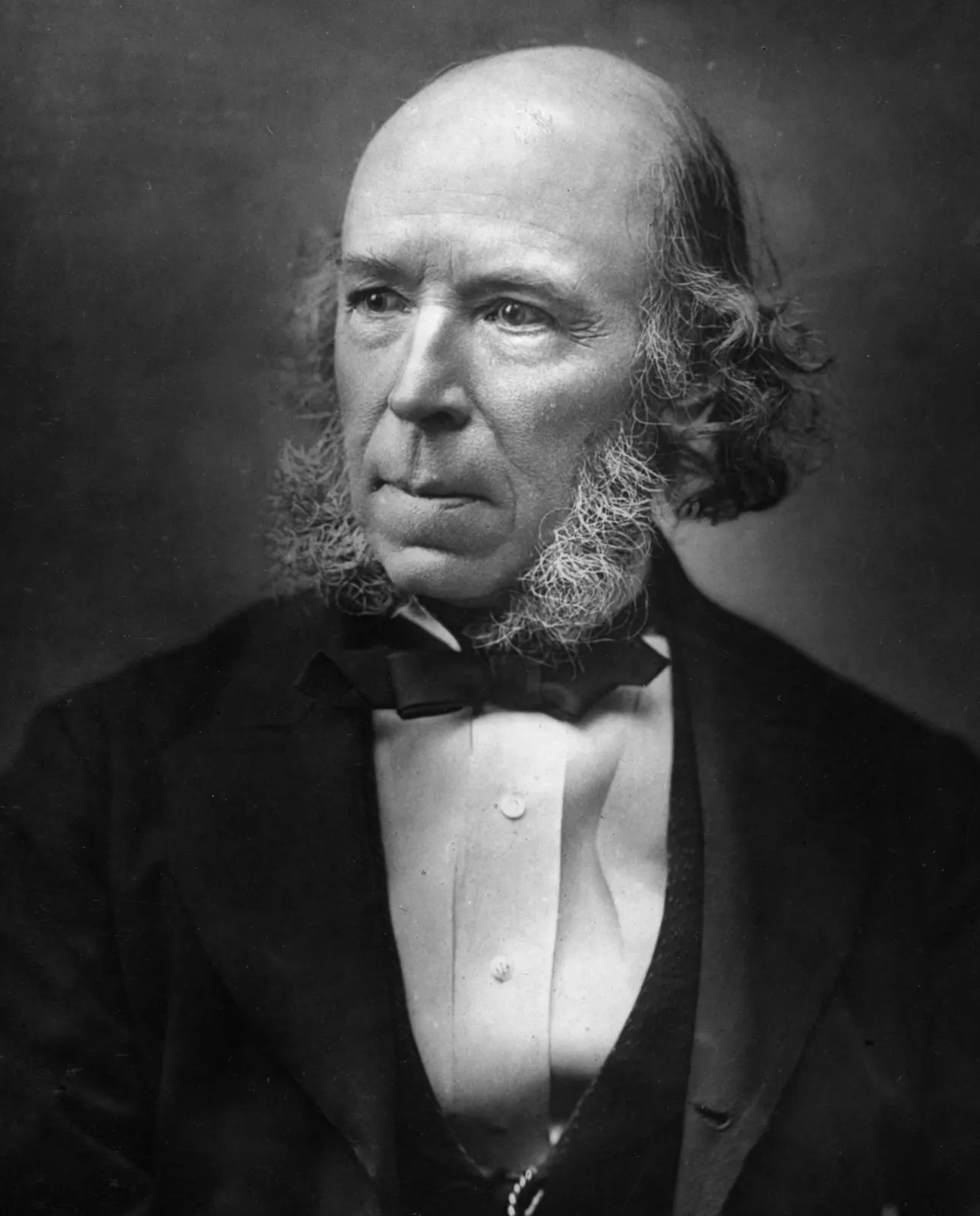 Portrait of author Herbert Spencer